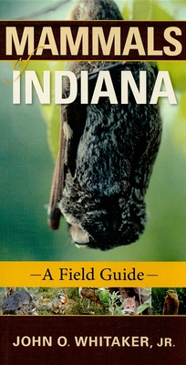 Mammals of Indiana: A Field Guide - Whitaker Jr, John O