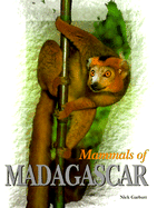 Mammals of Madagascar