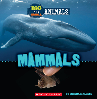 Mammals (Wild World: Big and Small Animals) - Maloney, Brenna