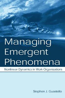 Managing Emergent Phenomena: Nonlinear Dynamics in Work Organizations - Guastello, Stephen J