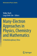 Many-Electron Approaches in Physics, Chemistry and Mathematics: A Multidisciplinary View