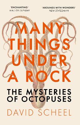 Many Things Under a Rock: The Mysteries of Octopuses - Scheel, David