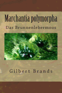 Marchantia Polymorpha: Das Brunnenlebermoos