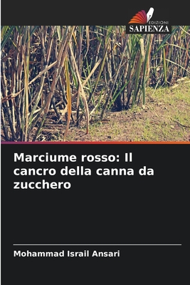 Marciume rosso: Il cancro della canna da zucchero - Ansari, Mohammad Israil