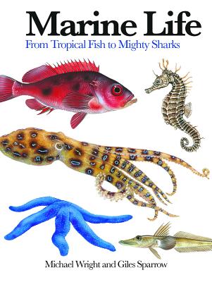 Marine Life: From Tropical Fish to Mighty Sharks - Wright, Michael, and Sparrow, Giles