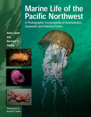 Marine Life of the Pacific Northwest: A Photographic Encyclopedia of Invertebrates, Seaweeds and Selected Fishes - Lamb, Andy, and Hanby, Bernard (Photographer)