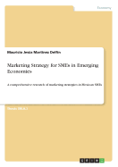 Marketing Strategy for SMEs in Emerging Economies: A comprehensive research of marketing strategies in Mexican SMEs