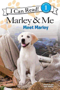 Marley & Me: Meet Marley