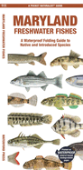 Maryland Freshwater Fishes: A Waterproof Folding Guide to Native and Introduced Species