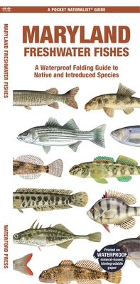 Maryland Freshwater Fishes: A Waterproof Folding Guide to Native and Introduced Species - Matthew Morris, Matthew Morris, and Kavanagh, Jill (Creator)