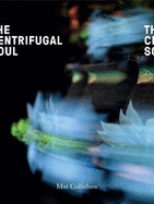 Mat Collishaw: The Centrifugal Soul