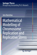 Mathematical Modelling of Chromosome Replication and Replicative Stress