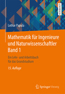 Mathematik Fur Ingenieure Und Naturwissenschaftler Band 1: Ein Lehr- Und Arbeitsbuch Fur Das Grundstudium
