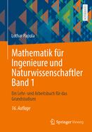 Mathematik Fur Ingenieure Und Naturwissenschaftler Band 1: Ein Lehr- Und Arbeitsbuch Fur Das Grundstudium