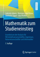 Mathematik Zum Studieneinstieg: Grundwissen Der Analysis Fr Wirtschaftswissenschaftler, Ingenieure, Naturwissenschaftler Und Informatiker