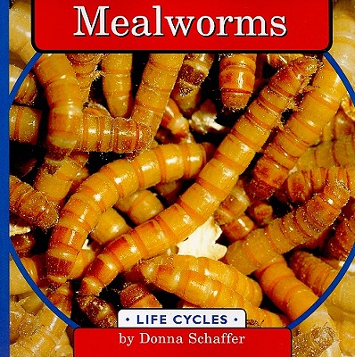 Mealworms - Schaffer, Donna