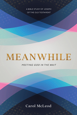 Meanwhile: Meeting God in the Wait - McLeod, Carol