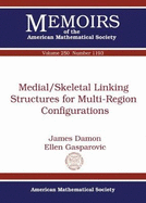 Medial/Skeletal Linking Structures for Multi-Region Configurations