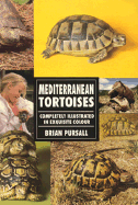 Mediterranean Tortoises