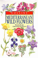 Mediterranean Wild Flowers - Blamey, Marjorie, and Grey-Wilson, Christopher