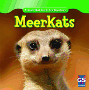 Meerkats