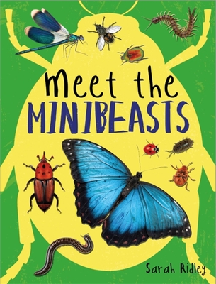 Meet the Minibeasts - Ridley, Sarah