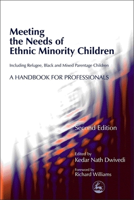 Meeting the Needs of Ethnic Minority Children - Including Refugee, Black and Mixed Parentage Children: A Handbook for Professionals Second Edition - Wilson, Linda, PhD, RN, CNE, Faan (Contributions by), and Zeitlin, Harry (Contributions by), and German, Gerry (Contributions...