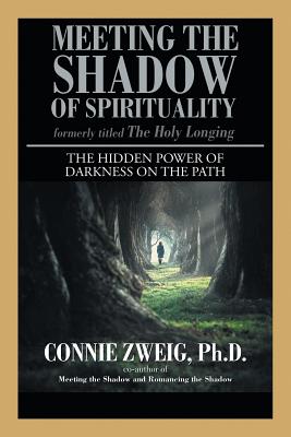 Meeting the Shadow of Spirituality: The Hidden Power of Darkness on the Path - Zweig, Connie