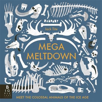 Mega Meltdown - 