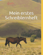 Mein erstes Schreiblernheft: Schreiblernheft fr Schreibanfnger. Extra groe Linienabstnde fr erste Schreibbungen. 1. Klasse Lineatur mit Haus. Fr Kinder im Kindergarten, Vorschule oder 1. Klasse