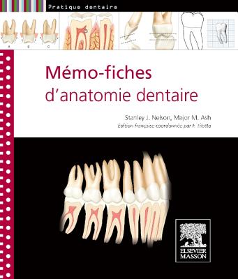 Memo-Fiches D'Anatomie Dentaire - Nelson, Stanley J, Dds, MS, and Ash, Major M, and Tilotta, Fran?oise