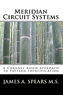 Meridian Circuit Systems: A Channel Based Approach to Pattern Identification