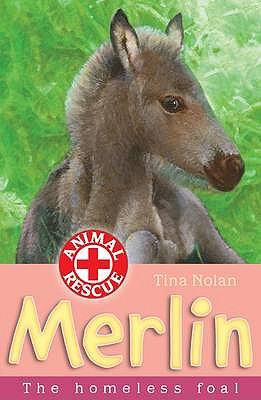 Merlin: The Homeless Foal - Nolan, Tina