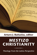 Mestizo Christianity: Theology from the Latino Perspective