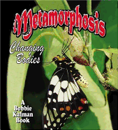 Metamorphosis: Changing Bodies