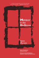 Meteor in the Madhouse