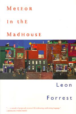 Meteor in the Madhouse - Forrest, Leon, and Forrest, Marianne (Foreword by)