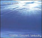 Michael Welsh: Some Secret Velocity