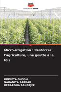 Micro-irrigation: Renforcer l'agriculture, une goutte  la fois