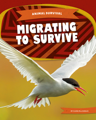 Migrating to Survive - Maccarald, Clara