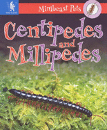 Millipedes and Centipedes - Greenaway, Theresa