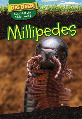 Millipedes - Rhodes, Wendell