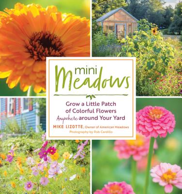Mini Meadows: Grow a Little Patch of Colorful Flowers Anywhere Around Your Yard - Lizotte, Mike