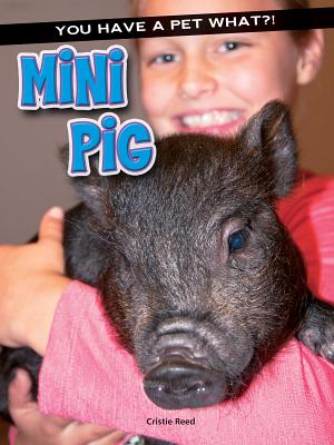 Mini Pig - Reed, Cristie