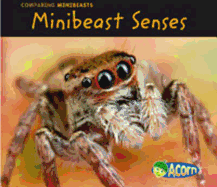 Minibeast Senses