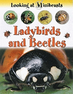 MINIBEASTS LADYBIRDS & BEETLES