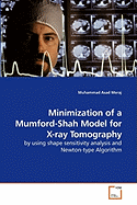 Minimization of a Mumford-Shah Model for X-ray Tomography - Meraj, Muhammad Asad