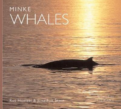 Minke Whales - Hoelzel, A Rus, and Stern, S Jonathan, and Hoelzel, Rus