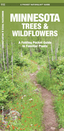Minnesota Trees & Wildflowers: An Introduction to Familiar Species