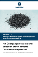 Mit ?bergangsmetallen und Seltenen Erden dotierte CuFe2O4-Nanopartikel